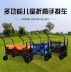 Outdoor Childrens Folding Trolley